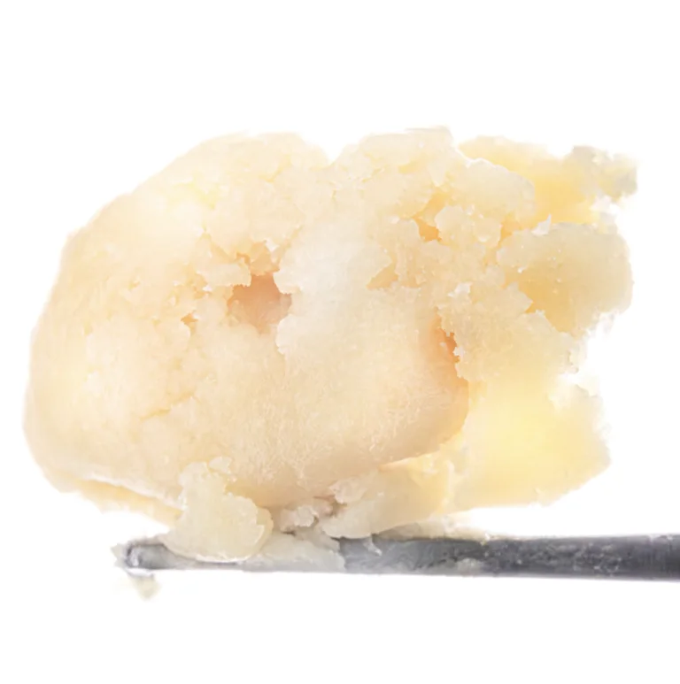 Papaya Cold Cure Live Rosin (500g) image