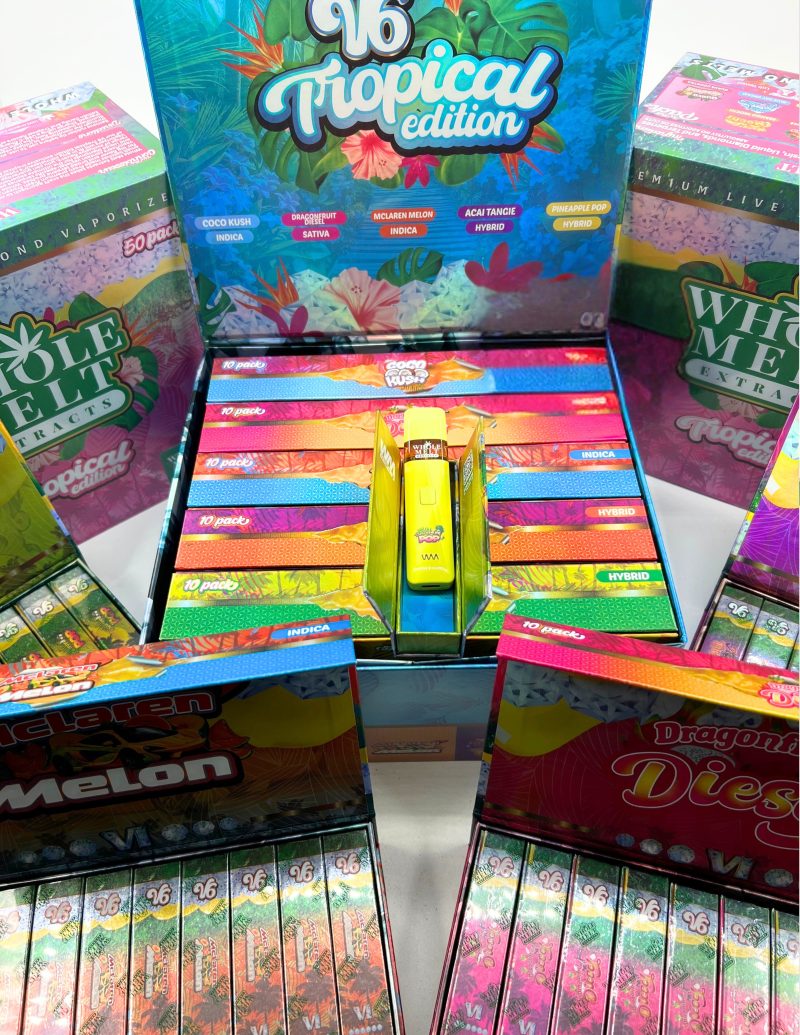 V14 Whole Melt Extracts V6 Disposable Vape (50/Case)