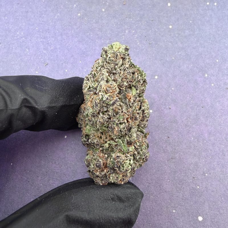 Candy Pop (B42)