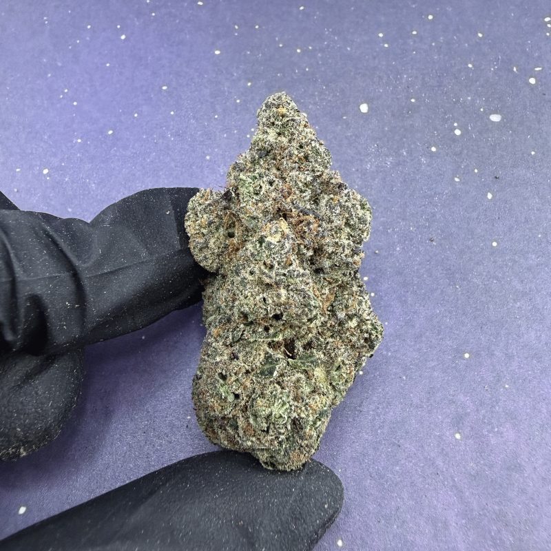 B62 Blockberry